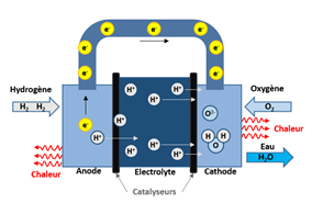 Fuel Cell principles